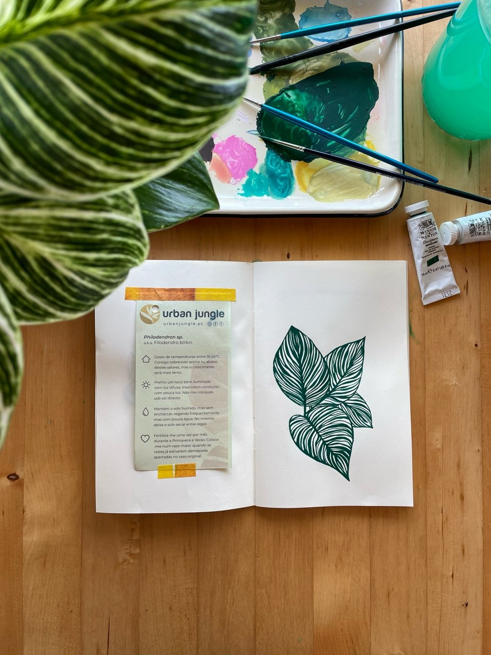O começo de algo novo, newsletter criativa da Alma em Papel. - Alma em Papel