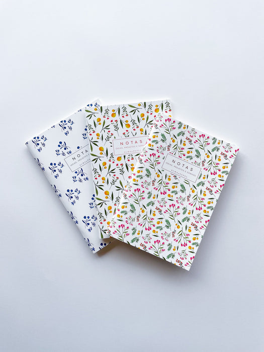 Pack Cadernos de Bolso - Alma em Papel